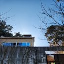 숨숨집당진 | [숨숨집 당진] 충남 당진 독채 펜션 정보 시골 감성 논밭뷰 조용한 숙소 내돈내산 후기