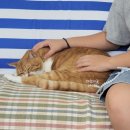 안경만들기사천점 이미지