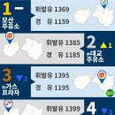 모과나무충전소 이미지