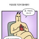 시장꿀꿀이 이미지