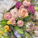 서울로터스치과의원 이미지