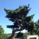 기산초교 이미지