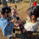 연세자연유치원 이미지