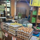 완주책박물관 이미지