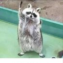 금강크리닝 이미지