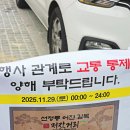 어진떡 | 선정릉 어진길목저잣거리 마켓행사 구경다녀온 후기