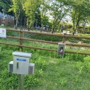 토평자동차정비 이미지