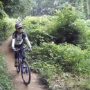 필리핀참전비 이미지