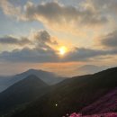 창원 천주산 진달래 : 달천계곡 코스, 예전 진달래 만개 후 5일 뒤는 어땠을까?