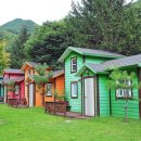 계곡과소나무 캠핑장 이미지