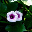 줄바위 농장 이미지