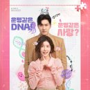 최시원 x 정인선 주연 새 로코드라마 ＜DNA 러버＞ 이미지