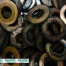 동수카 이미지
