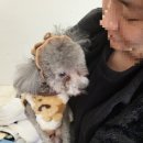 개순이 살롱 이미지