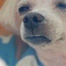 오늘하루 이미지