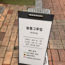 늘봄 그루밍 이미지