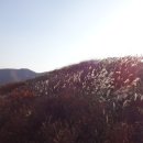 하광교동느티나무정류장 이미지