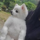 하바별