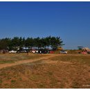 구례포 야영장 이미지