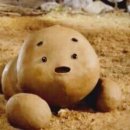 강아지 똥 이미지