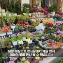 송미화원 이미지