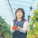 우연농장 이미지