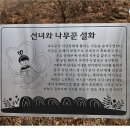 선녀와나무꾼 이미지