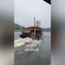 사비향