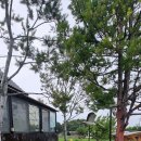 장산극장 이미지