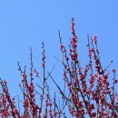 능수어린이집 이미지