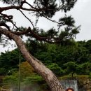 부석사 입구 이미지