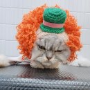 잔다냥 천안점 이미지