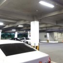 하단동205 이미지