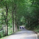 솔바람길 이미지