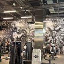 올라잇짐 이미지