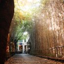 드래곤힐스파 | 용산 드래곤힐스파 후기!!