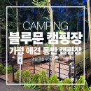 가평 블루문 캠핑장 명당 STAY4 이용 후기(애견 동반 가능)