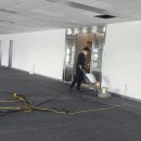 동안빌딩 | 서대문 경원빌딩 카펫 청소 &amp; 텍스 작업 후기ㅣ