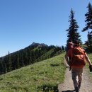 Hurricane Ridge To Mount Angeles 이미지