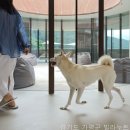 빌라누트 | 빌라누트 경기도 펜션, 이곳에서만 누릴 수 있는 특별한 경험이 있어요