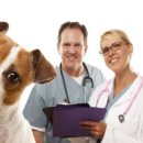 기분좋은 동물병원 이미지