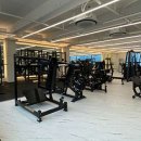 더 베네핏 이미지