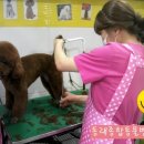 동래종합동물병원 이미지