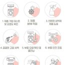 야채왕자과일공주