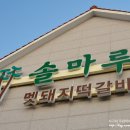 솔마루농장 | 울산 동구 주전동 솔마루 멧돼지촌 떡갈비 정식