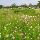 승촌공원 캠핑장 이미지