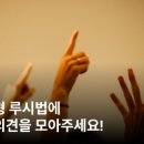 파주경매장 동물보호시민단체 카라