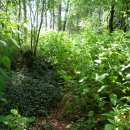 함라초등학교 이미지