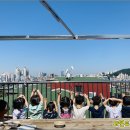 숲어린이집 이미지