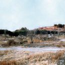 울산 개운포 좌수영성 이미지